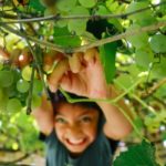 Featured images
