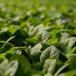 Featured images