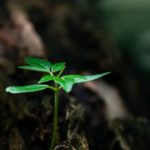 Featured images