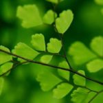 Featured images
